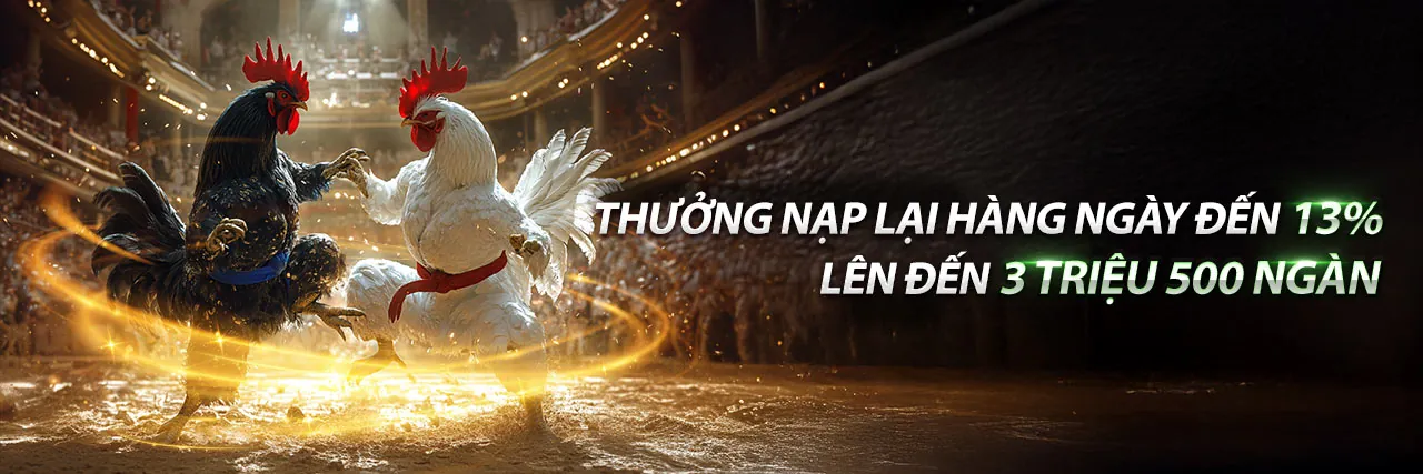 Hình ảnh đại diện cho cờ bạc có trách nhiệm của 66b chính thức